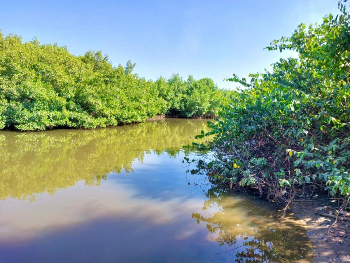 Mangrove Beach Sanyang Exterior photo