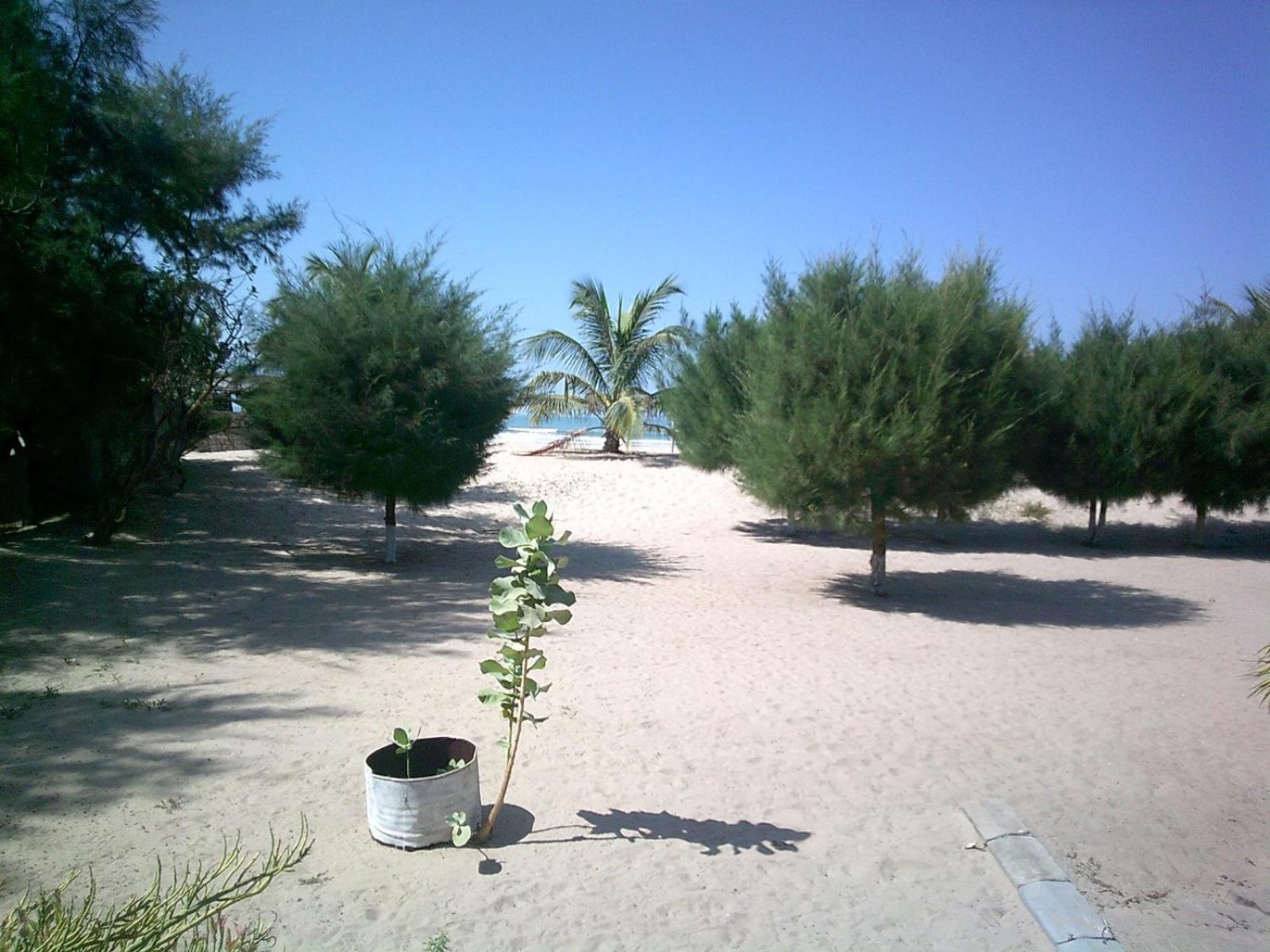 Mangrove Beach Sanyang Exterior photo