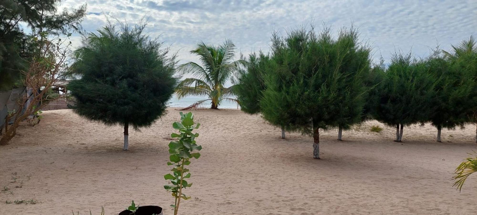 Mangrove Beach Sanyang Exterior photo